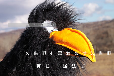 欠借唄4萬怎么辦(欠借唄四萬只能每個月還一實在沒辦法了)
