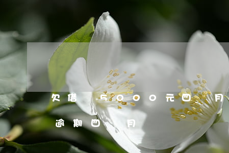 欠借唄5000元四個月沒還(借唄5000逾期四個月)