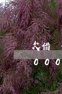 欠借唄5000還不上了怎么辦-欠借唄5000塊錢無(wú)力償還會(huì)坐牢嗎
