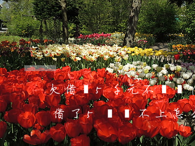欠借唄5千元不還會(huì)怎么辦(借唄借了5萬還不上怎么辦)