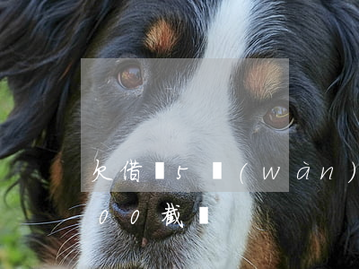 欠借唄5萬(wàn)圖片截圖(借唄還款500截圖)