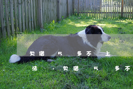 欠借唄5萬多不還上門調(diào)查合法嗎-欠借唄5萬多不還上門調(diào)查合法嗎是真的嗎