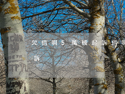 欠借唄5萬被起訴(借唄五萬以上還不上被起訴)