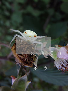 欠借唄6千逾期利息多少錢(借唄逾期利息是多少)