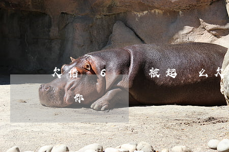 欠借唄6萬會被起訴么(欠借唄7萬多久會起訴你)