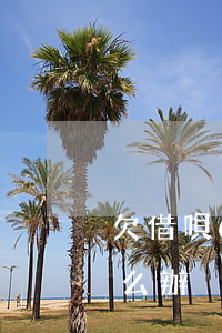欠借唄6萬沒錢還怎么辦(借唄六萬還不上怎么辦)