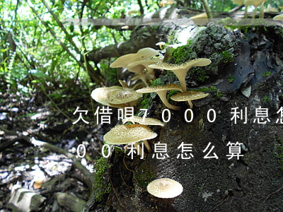 欠借唄7000利息怎么算(還唄借款10000利息怎么算)