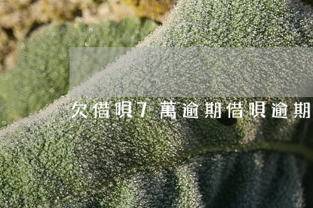 欠借唄7萬逾期(借唄逾期7萬多)