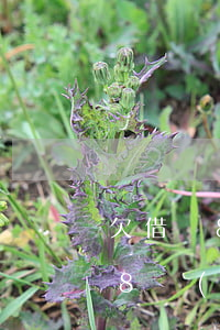 欠借唄8萬(wàn)還不起怎么辦(欠借唄8萬(wàn)還不起會(huì)怎么樣)