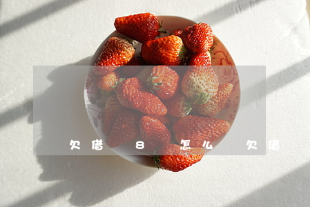欠借唄8萬怎么辦(欠借唄8萬無力償還怎么辦)