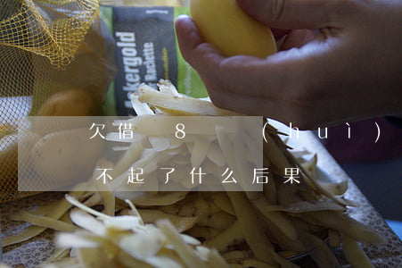 欠借唄8萬會(huì)怎么樣(借唄8萬還不起了什么后果)
