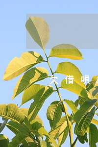 欠借唄8萬逾期會怎么樣