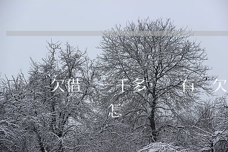 欠借唄一千多還沒有還(欠借唄8000一年沒還會怎樣)