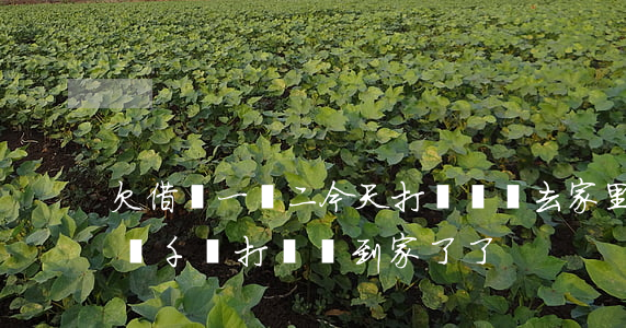 欠借唄一萬二今天打電話說去家里-借唄欠幾千塊打電話到家了了
