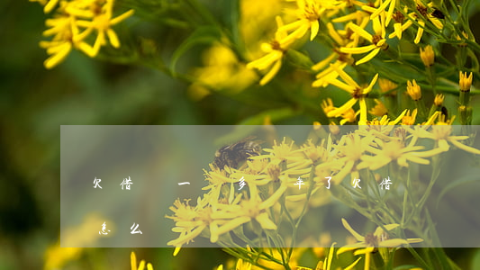 欠借唄一萬多兩年了(欠借唄兩萬多三年沒還怎么辦)