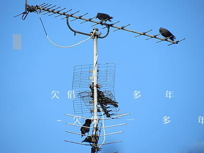 欠借唄一萬多兩年沒還會(huì)坐牢嗎-欠借唄一萬多兩年沒還會(huì)坐牢嗎知乎