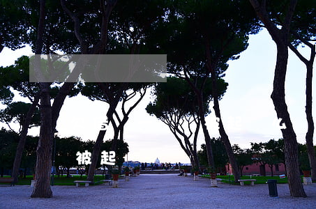 欠借唄一萬會被起訴么(螞蟻借唄欠一萬多會被起訴嗎)