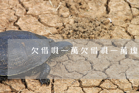 欠借唄一萬(欠借唄一萬塊錢會被起訴嗎)