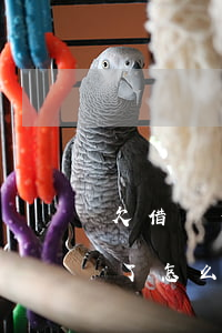 欠借唄一萬無力償還(借唄欠了一萬多還不起了怎么辦)