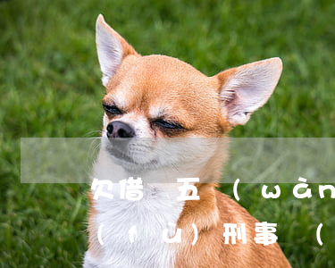 欠借唄五萬(wàn)以上會(huì)負(fù)刑事責(zé)任嗎-欠借唄五萬(wàn)以上會(huì)負(fù)刑事責(zé)任嗎知乎