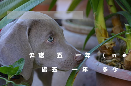 欠借唄五萬一年內(nèi)怎么還(螞蟻借唄借五萬一年還多少)
