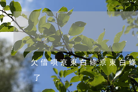 欠借唄京東白條(京東白條借款為什么我借不了)