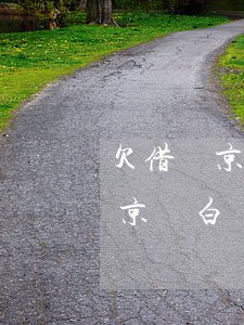 欠借唄京東白條金條還不上怎么辦-欠借唄京東白條金條還不上怎么辦呢