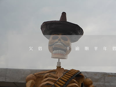 欠借唄兩千逾期半年(借唄2萬逾期一年)