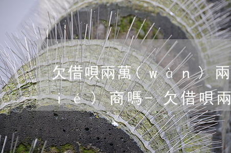 欠借唄兩萬(wàn)兩年沒還可以協(xié)商嗎-欠借唄兩萬(wàn)兩年沒還可以協(xié)商嗎