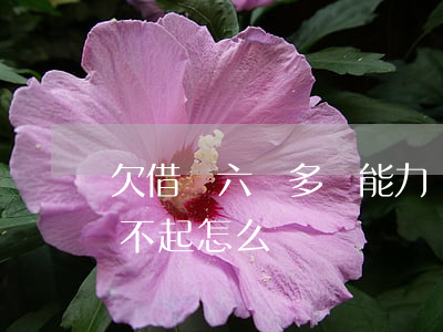 欠借唄六萬多沒能力還怎么辦(借唄欠6萬還不起怎么辦)