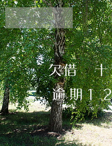 欠借唄十五萬(wàn)被起訴怎么辦(借唄逾期12萬(wàn)起訴坐牢)