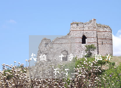 欠借唄十多萬無能力還全部逾期(借唄逾期9萬還不了)