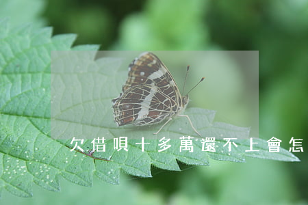 欠借唄十多萬還不上會怎么樣