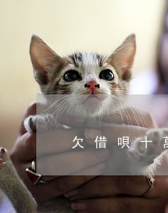 欠借唄十萬睡不著(借唄欠十萬無力償還)