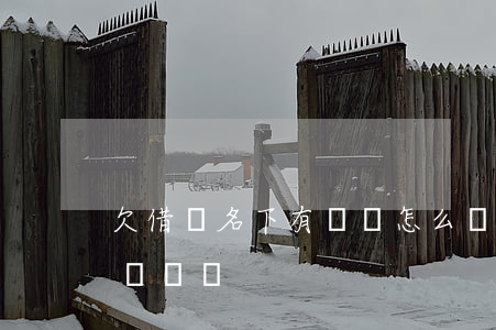 欠借唄名下有車會怎么樣(有借唄欠款能申請車貸嗎)