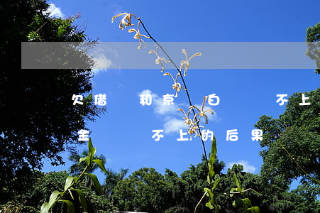 欠借唄和京東白條還不上(花唄借唄京東白條金條還不上的后果)