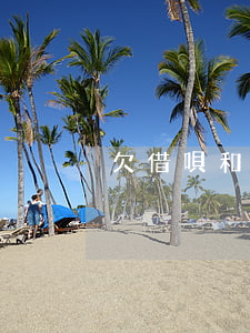 欠借唄和信用卡50萬會坐牢嗎-