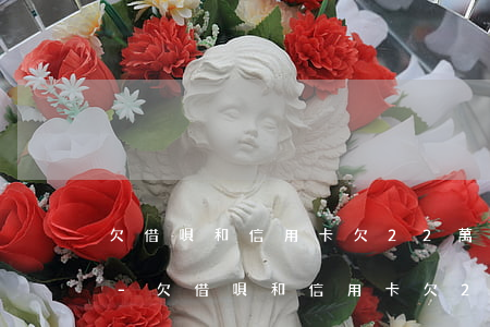 欠借唄和信用卡欠22萬(wàn)怎么樣-欠借唄和信用卡欠22萬(wàn)怎么樣還款