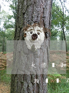 欠借唄和微粒貸還不上怎么辦(螞蟻借唄和微粒貸還不上怎么辦)