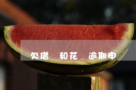 欠借唄和花唄逾期申請減免