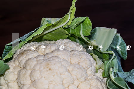 欠借唄四萬逾期(借唄欠四萬多逾期)