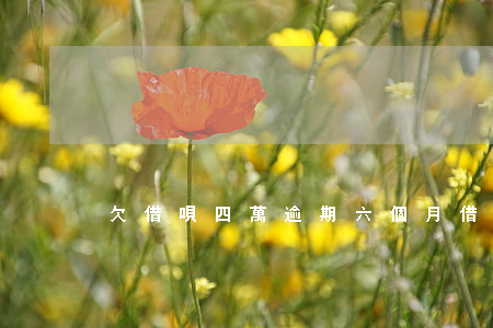 欠借唄四萬逾期六個月(借唄欠四萬多逾期)
