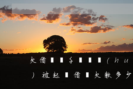 欠借唄幾千塊錢會(huì)不會(huì)被起訴(借唄欠款多少會(huì)被起訴)