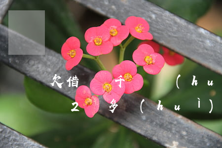 欠借唄幾千塊錢會(huì)被起訴嗎(欠借唄2萬多會(huì)被起訴不)