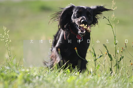 欠借唄收到律師函怎么辦