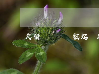欠借唄沒錢還被起訴(欠借唄被起訴了)