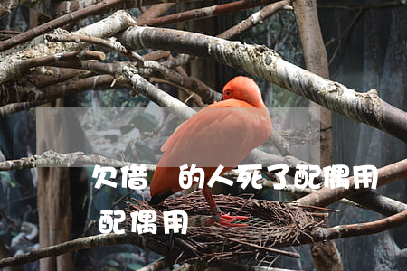 欠借唄的人死了配偶用還嗎(欠借唄的人死了配偶用還嗎)