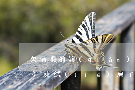 欠借唄的錢(qián)逾期了 會(huì)凍結(jié)房子嗎(借唄逾期支付寶會(huì)被凍結(jié)嗎)
