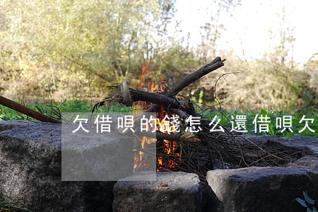 欠借唄的錢怎么還(借唄欠好多錢怎么辦)