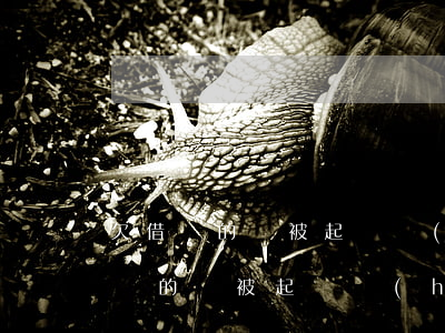 欠借唄的錢被起訴會(huì)坐牢嗎(欠借唄的錢被起訴會(huì)坐牢嗎)